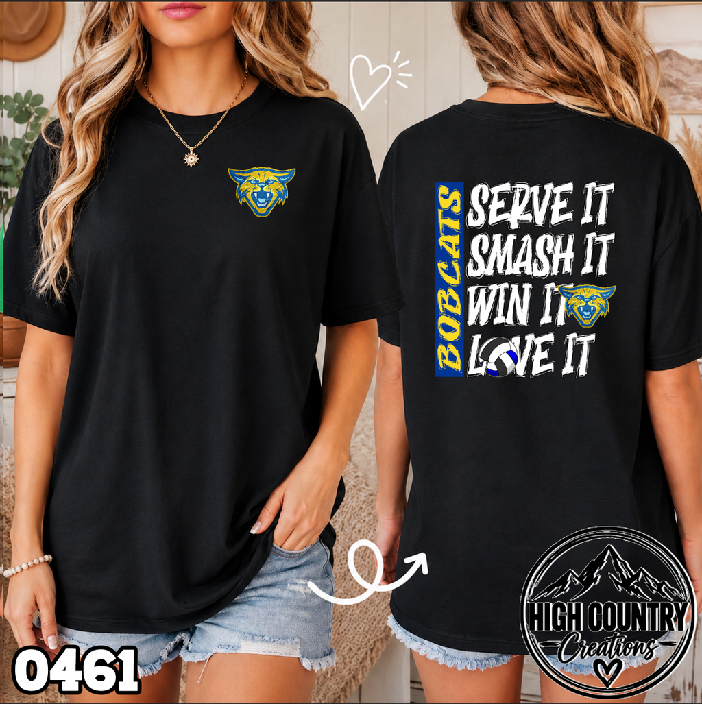 0461 Volleyball SERVE • SMASH • WIN • LOVE IT