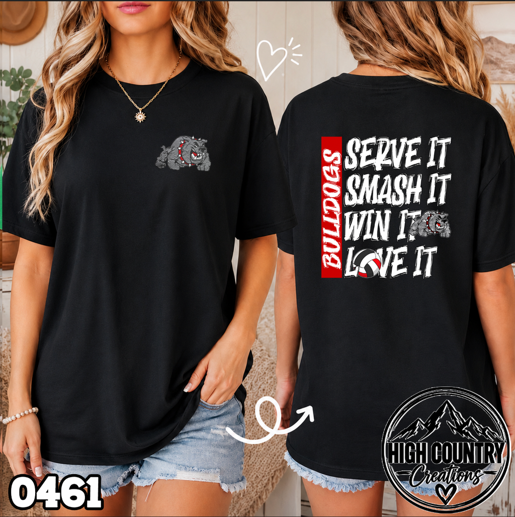 0461 Volleyball SERVE • SMASH • WIN • LOVE IT