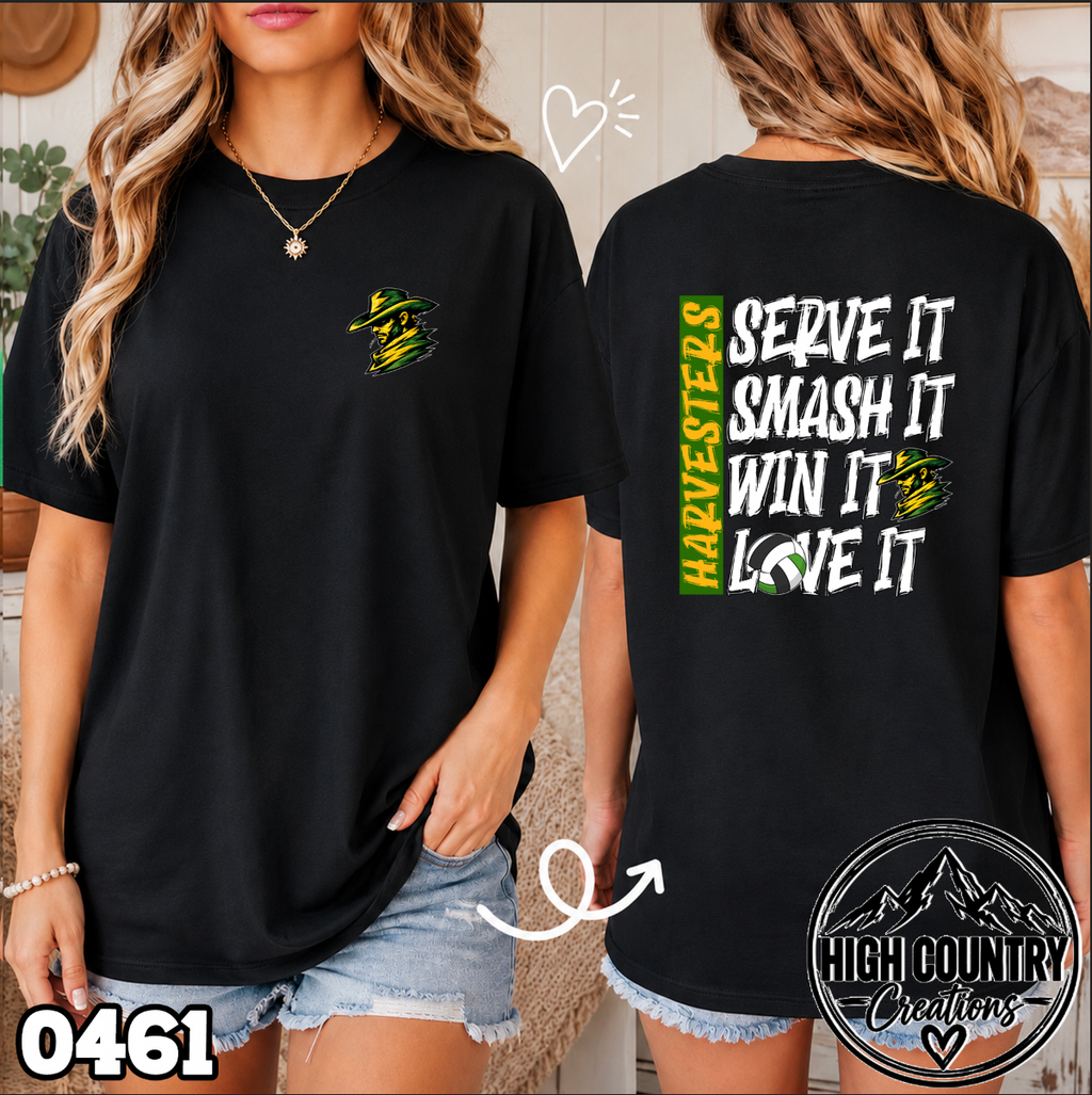 0461 Volleyball SERVE • SMASH • WIN • LOVE IT