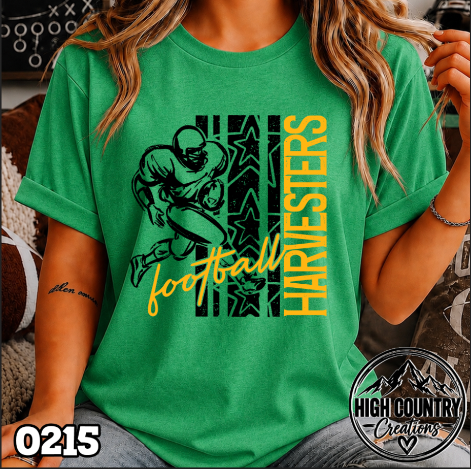 0215 Football Star