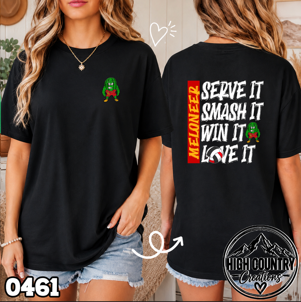 0461 Volleyball SERVE • SMASH • WIN • LOVE IT
