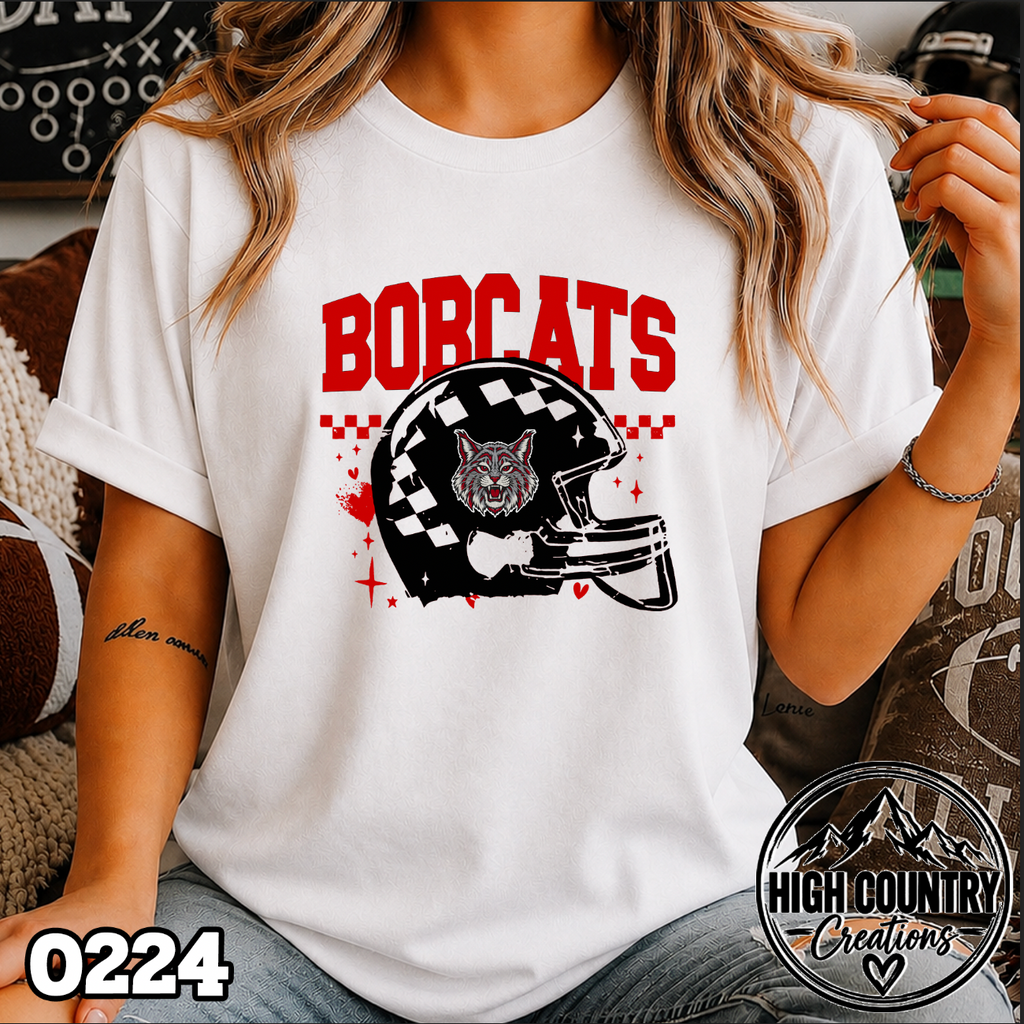 0224 Mascot Football Helmet