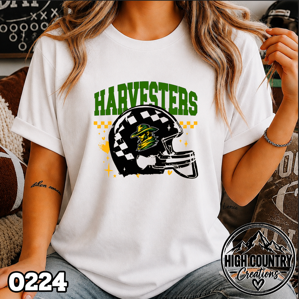 0224 Mascot Football Helmet