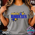0520 TEAM STARS Varsity TEE