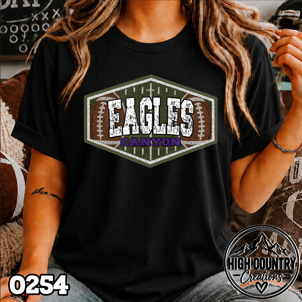 0254 Game Day Football Field