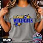 0520 TEAM STARS Varsity TEE